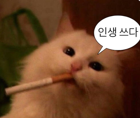 제니카페 이미지