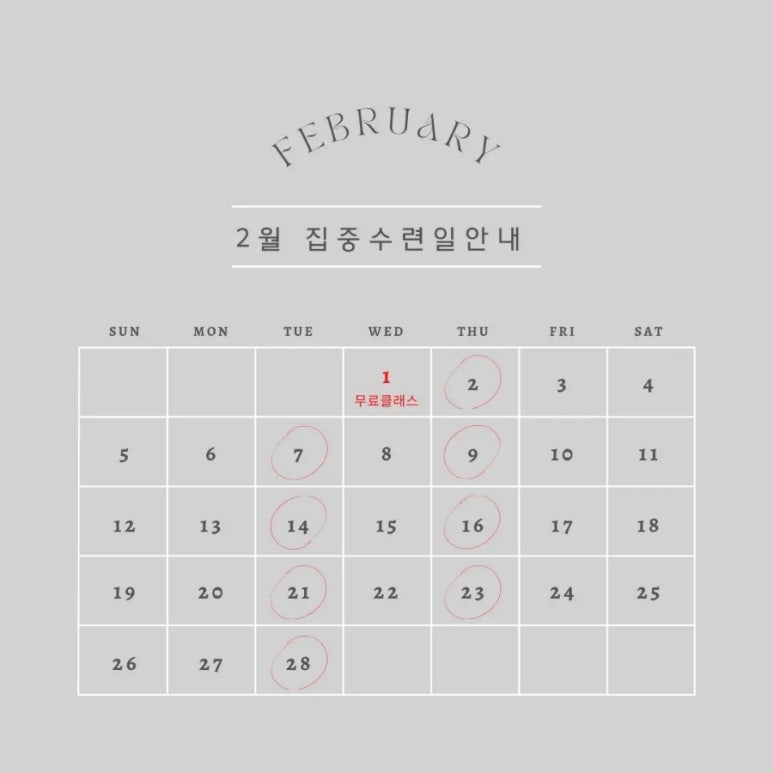 토요요 이미지
