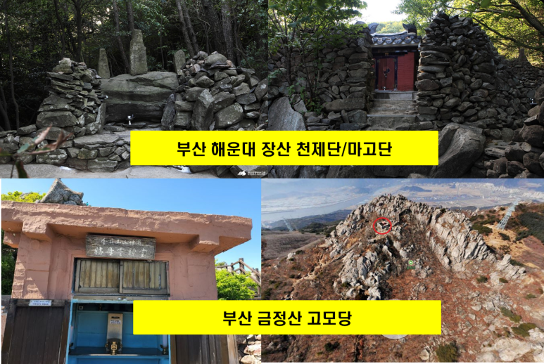 마고단 이미지