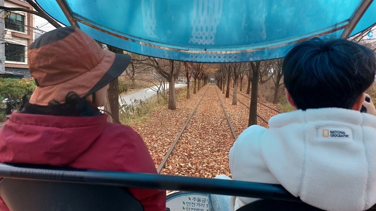 르봉뺑 이미지