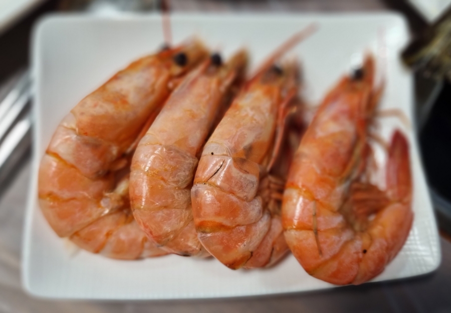 오빠네수산 이미지