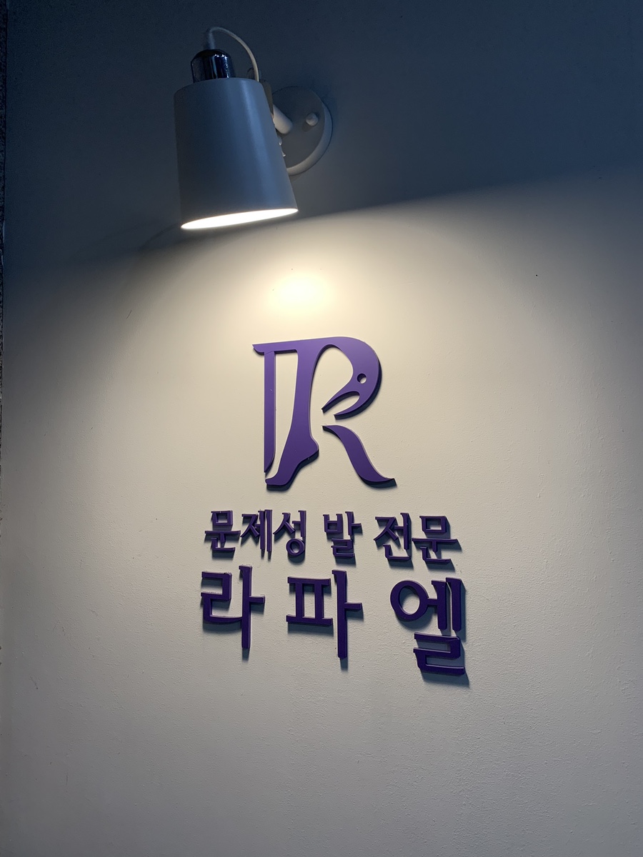 이천문제성발전문#라파엘 이미지