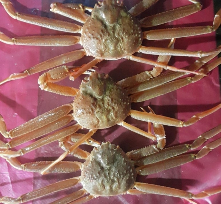 주문진수산 이미지