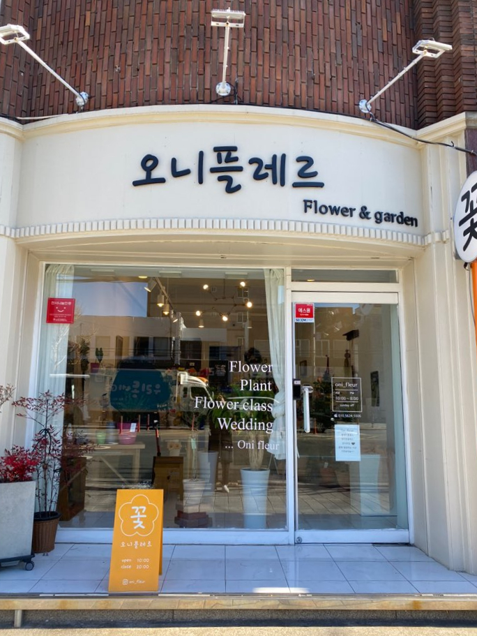 오니플레르 이미지