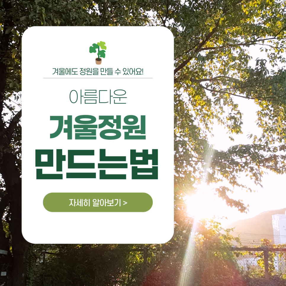 플라워에듀 이미지
