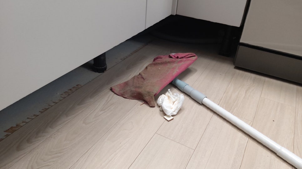 아너스크리닝 이미지
