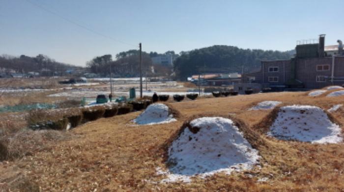 주월교 이미지