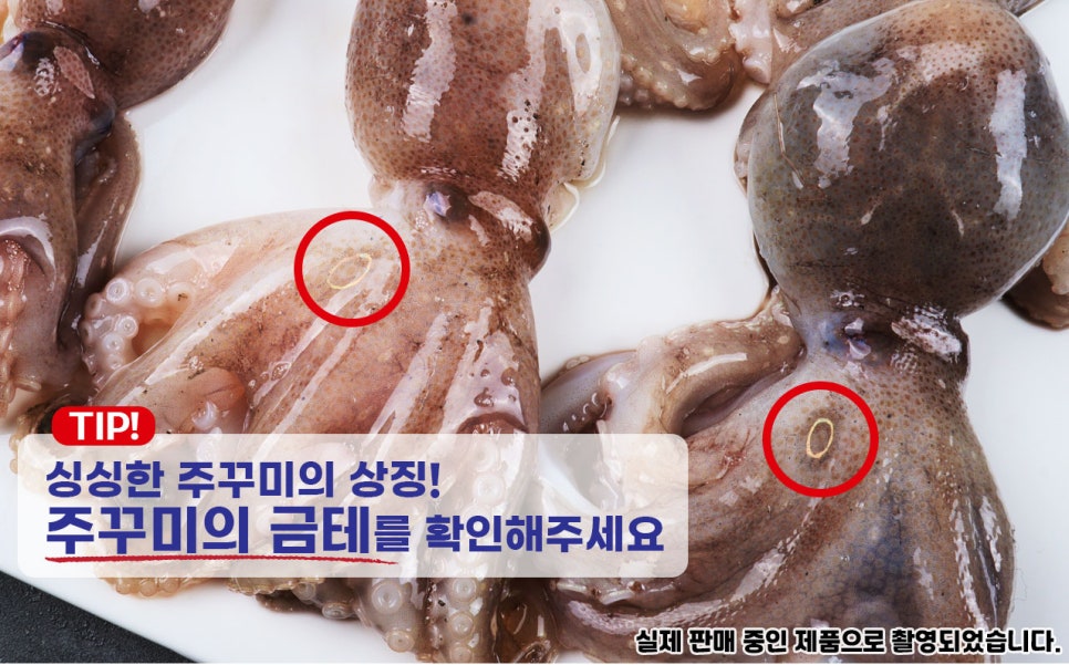 서해냉동 이미지