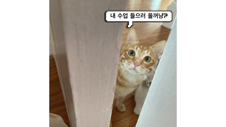 샾106 이미지