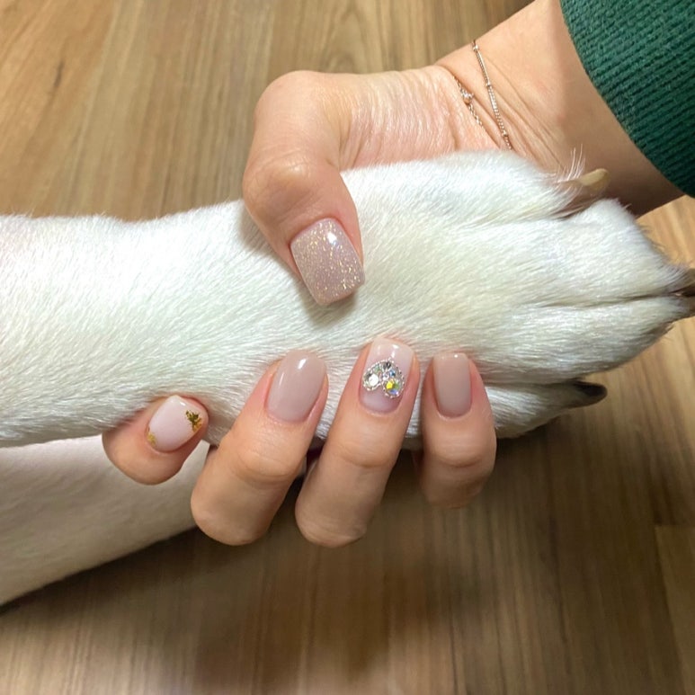 네일리영 이미지