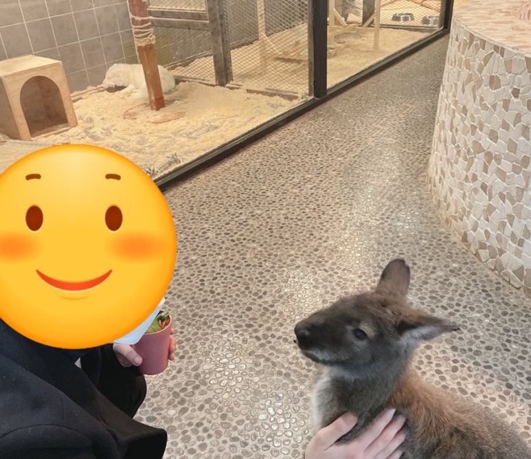 (주)히어로 플레이파크 이미지