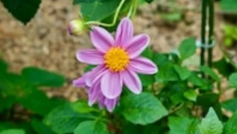 유나책방 이미지