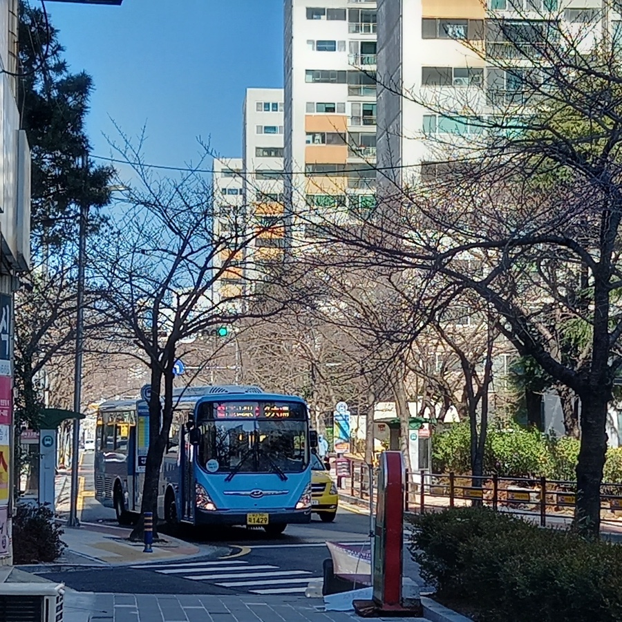 앵무새노래연습장 이미지