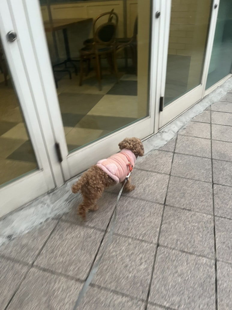 버거킹이마트서수원점 이미지