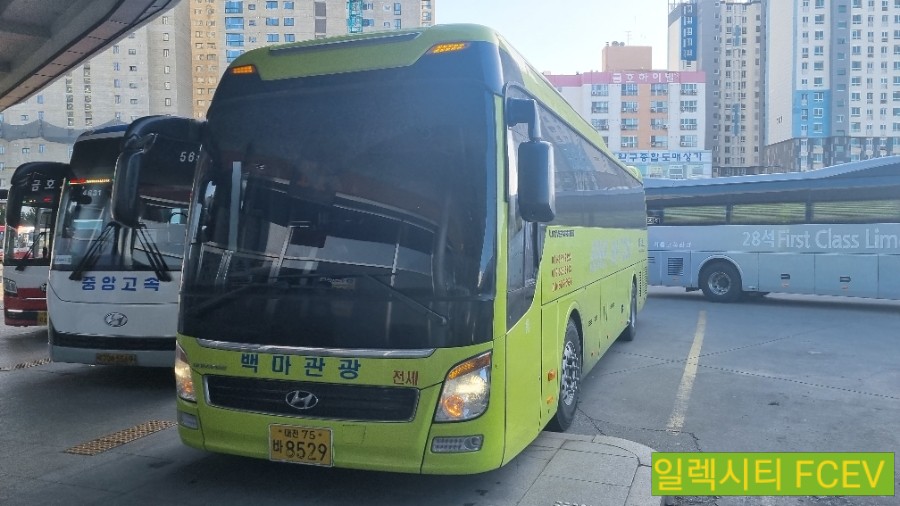 백마고속관광 이미지