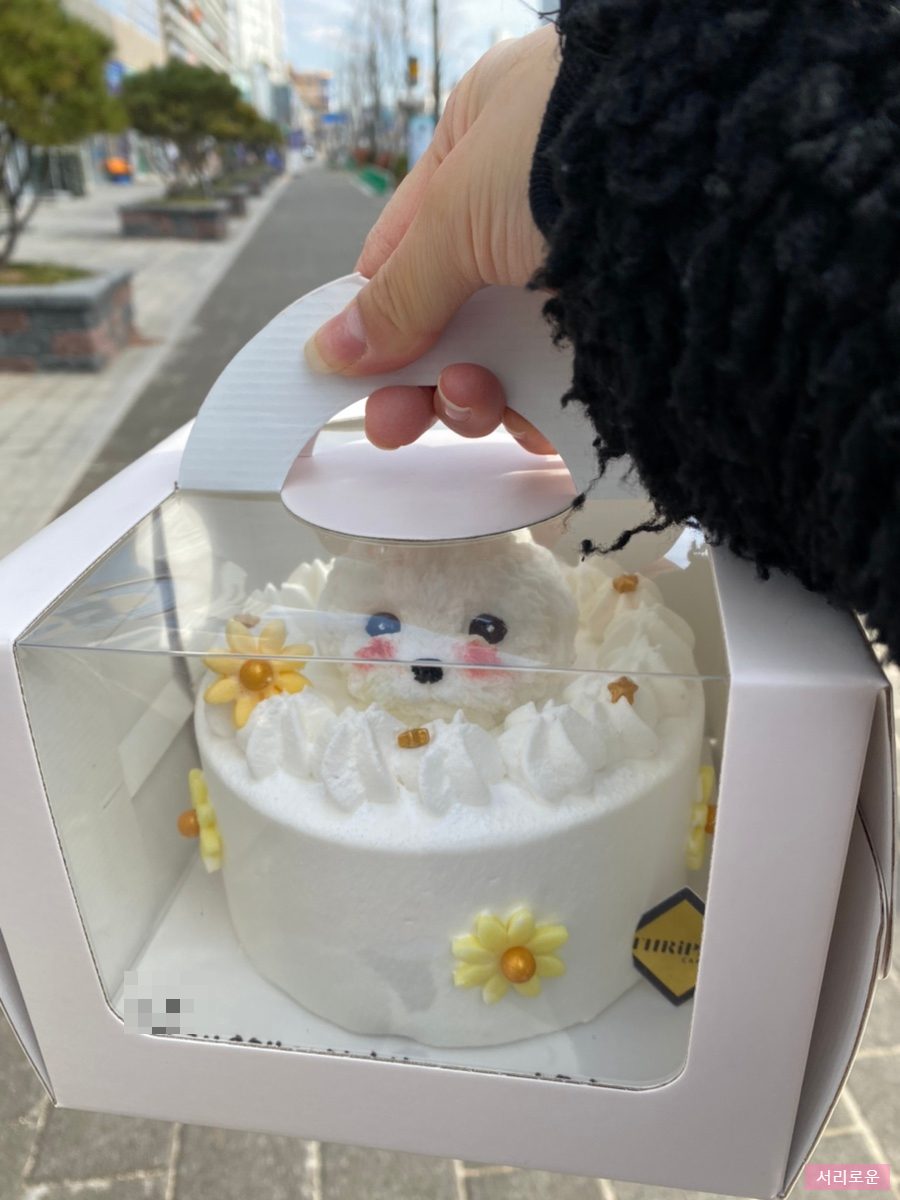 드립시스 이미지