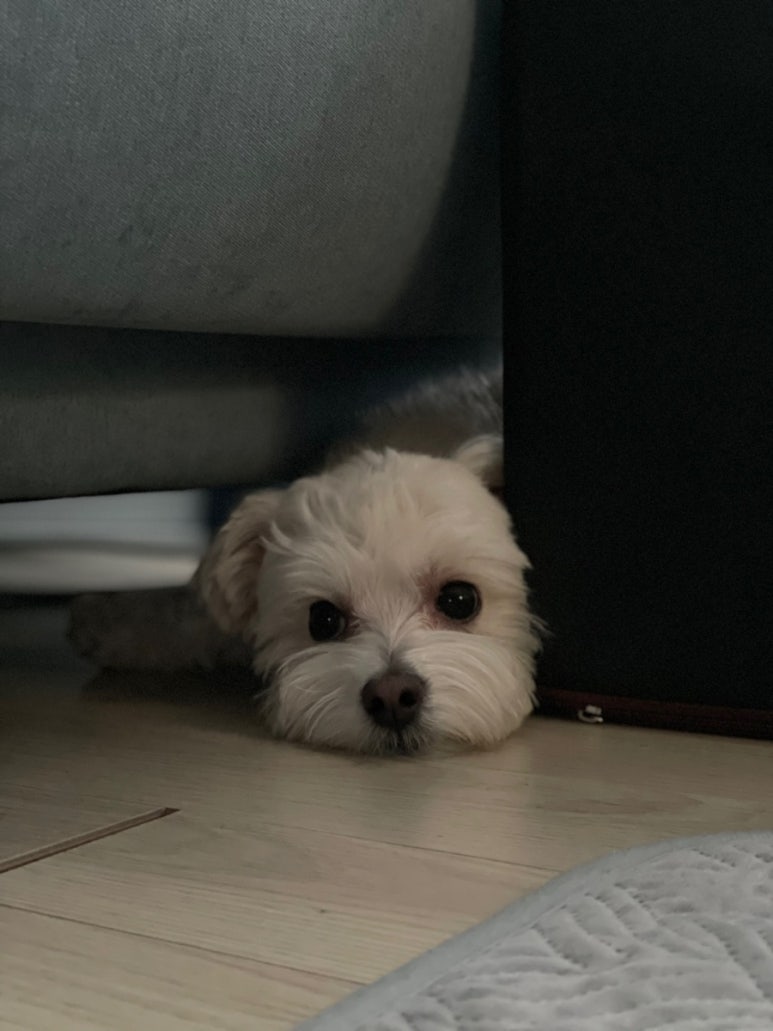 (주)조하 이미지