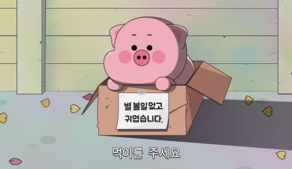 아리씨 이미지