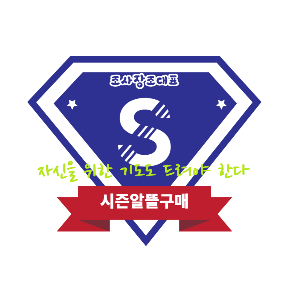 다주여행사 이미지