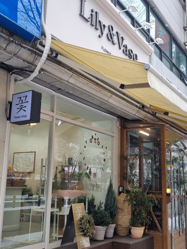 릴리앤베이스 이미지