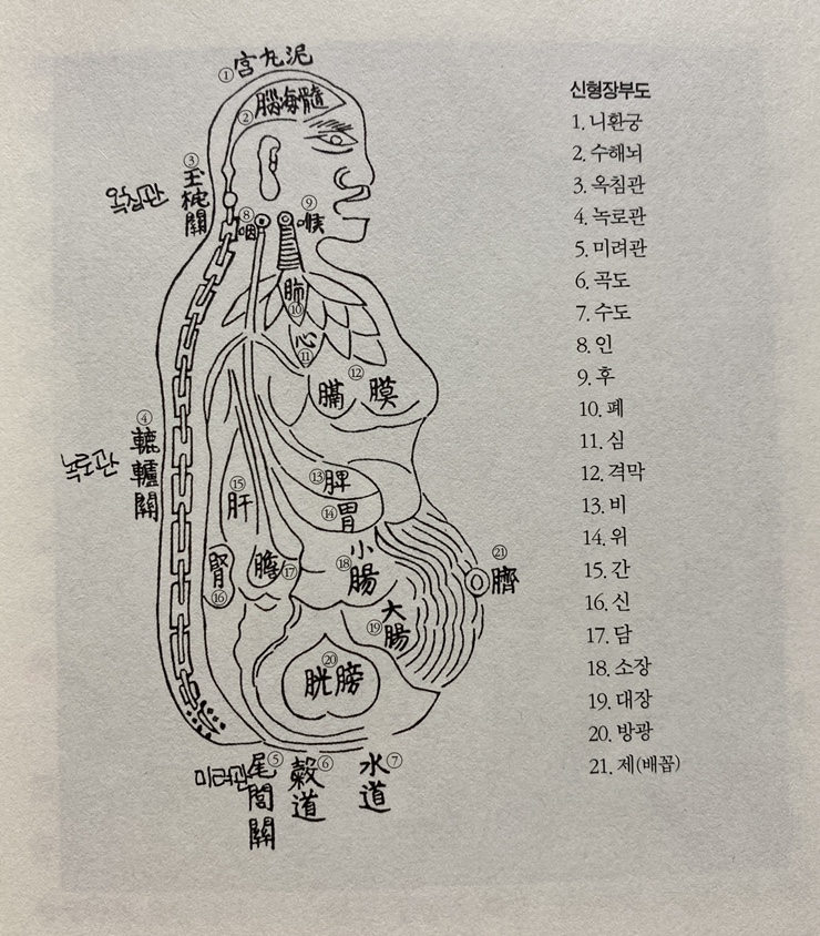 인트로비젼 이미지