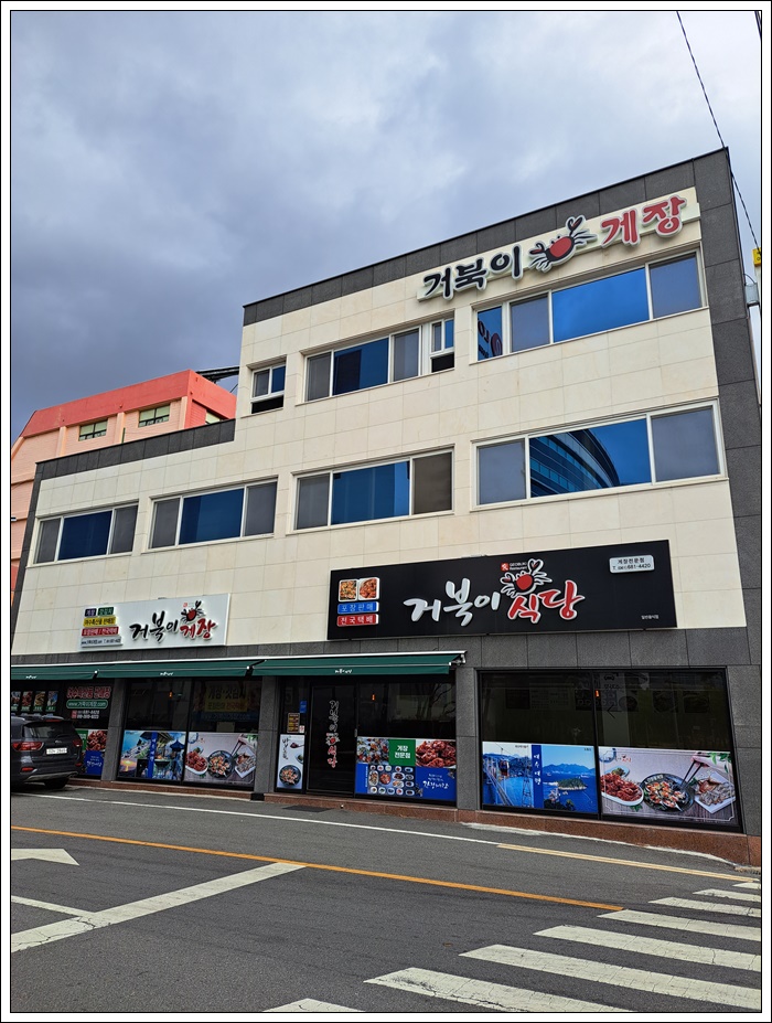 거북이 몰 이미지