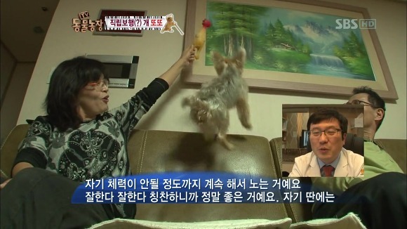또또행복 이미지