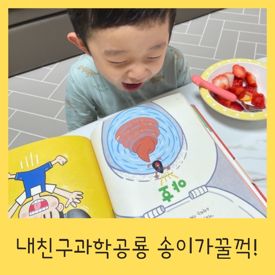 송이전집 이미지