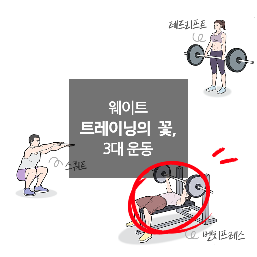 더블에잇휘트니스 이미지