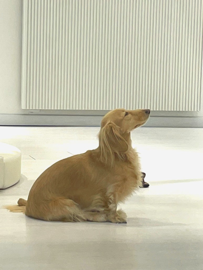썬폴스튜디오 이미지