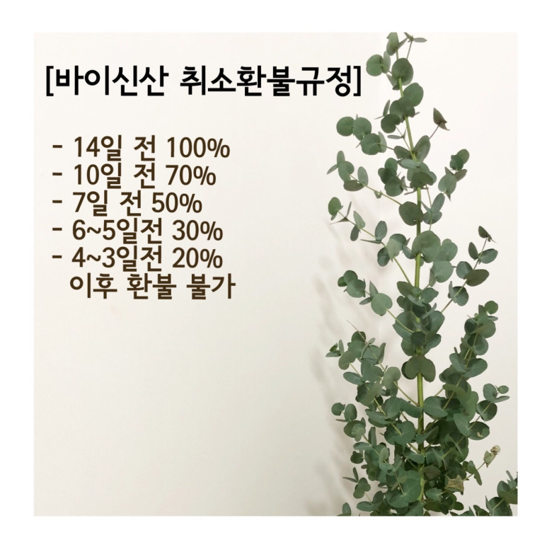 바이토산 이미지