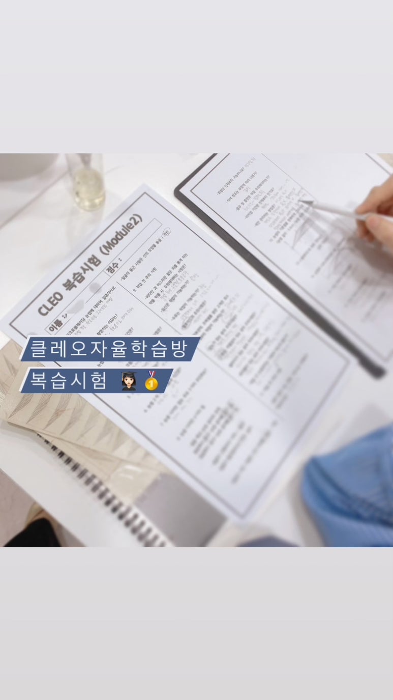 클레오헤어 이미지