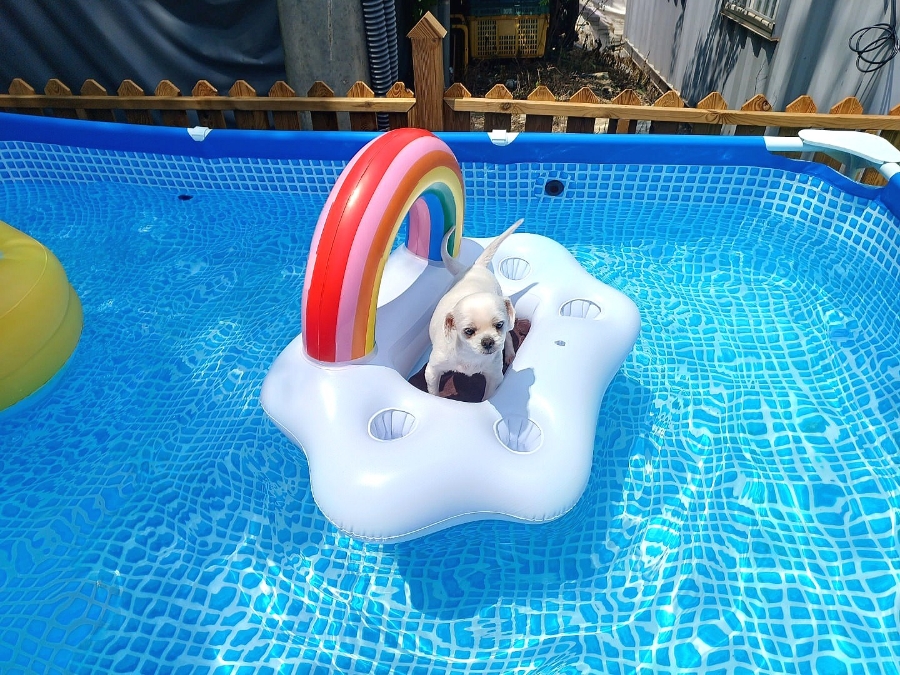 강릉타올 이미지