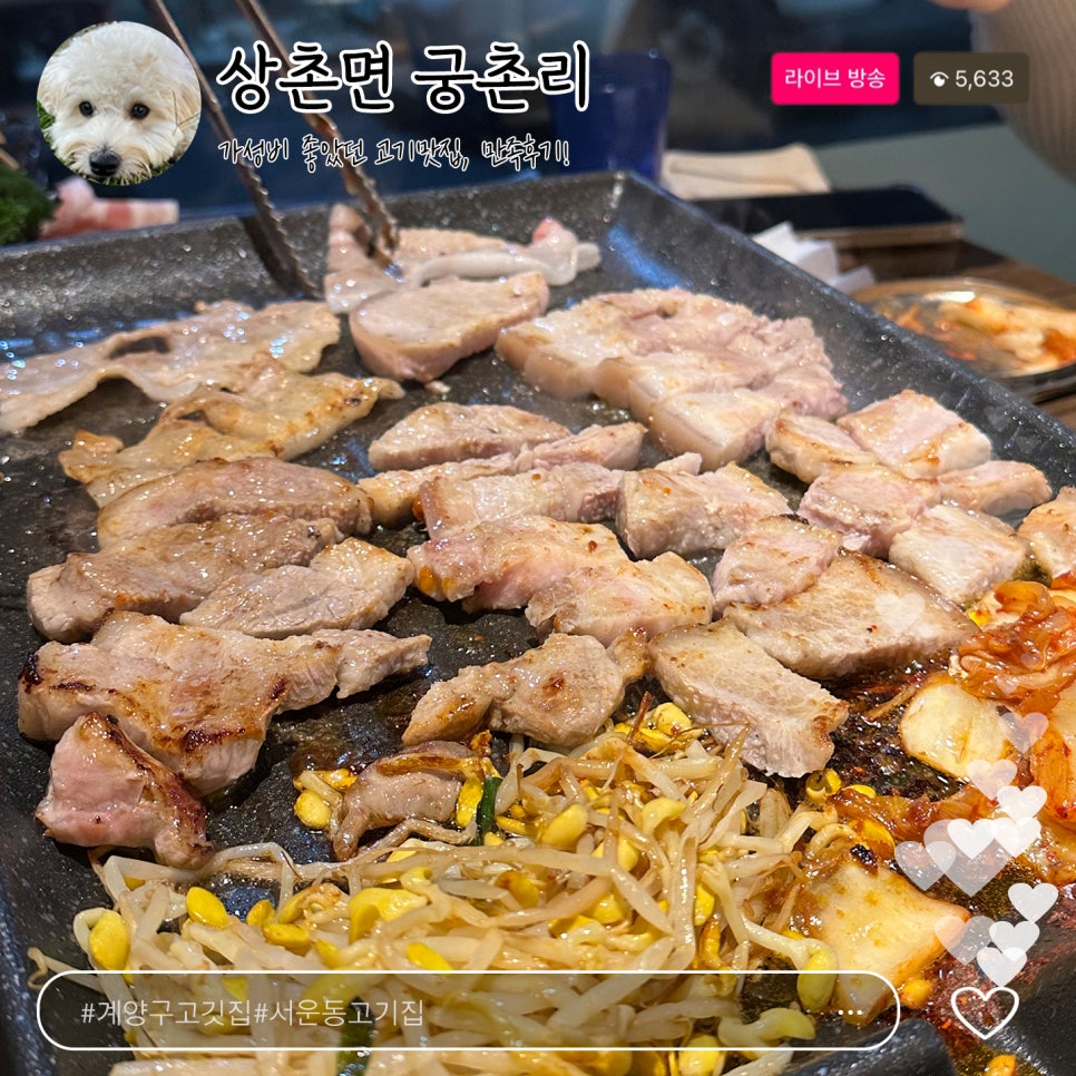 상촌면궁촌리 이미지