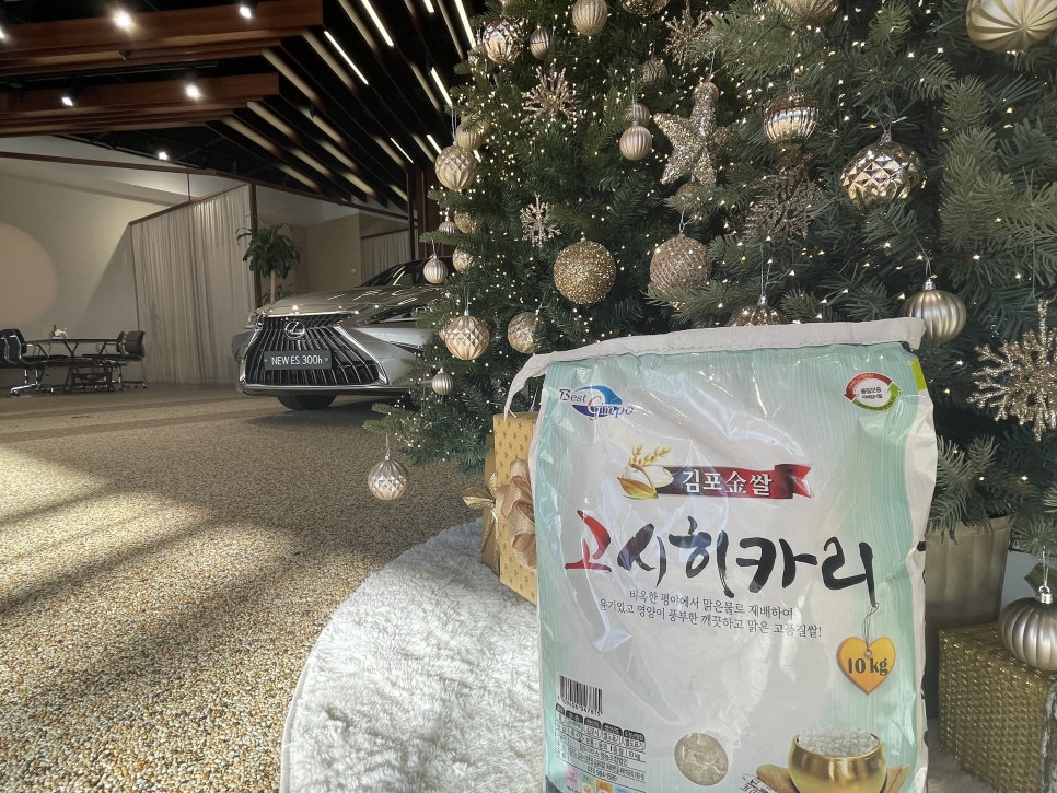 엘앤티렉서스안 이미지