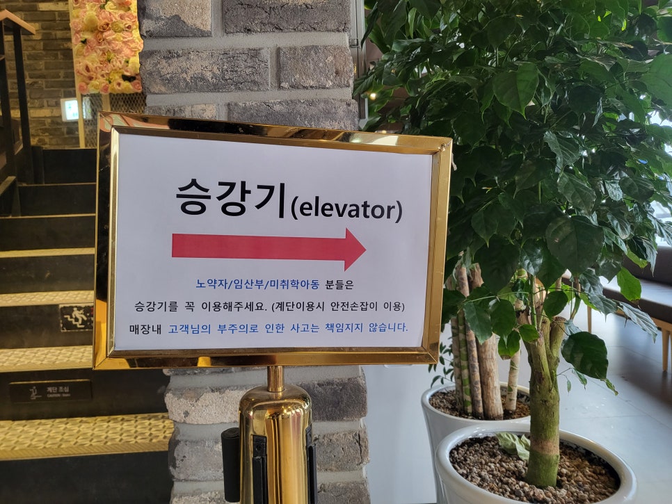 셀럽 CELEB 이미지