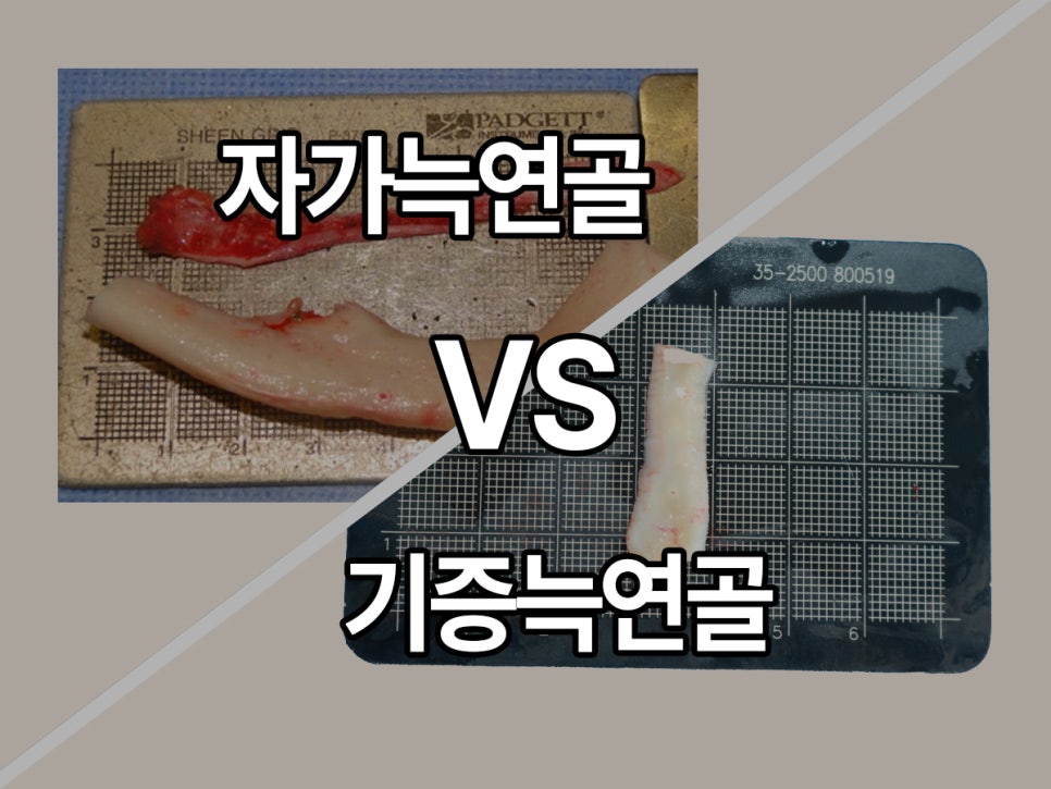 아너스티성형외과의원 이미지