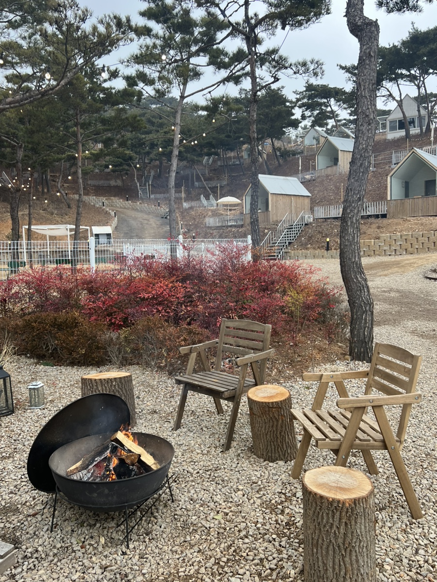 카페오솔길 이미지