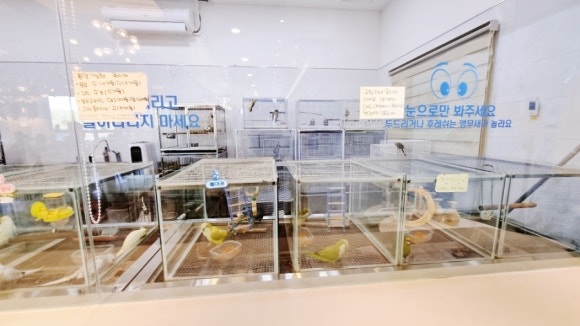 버드리전주 이미지