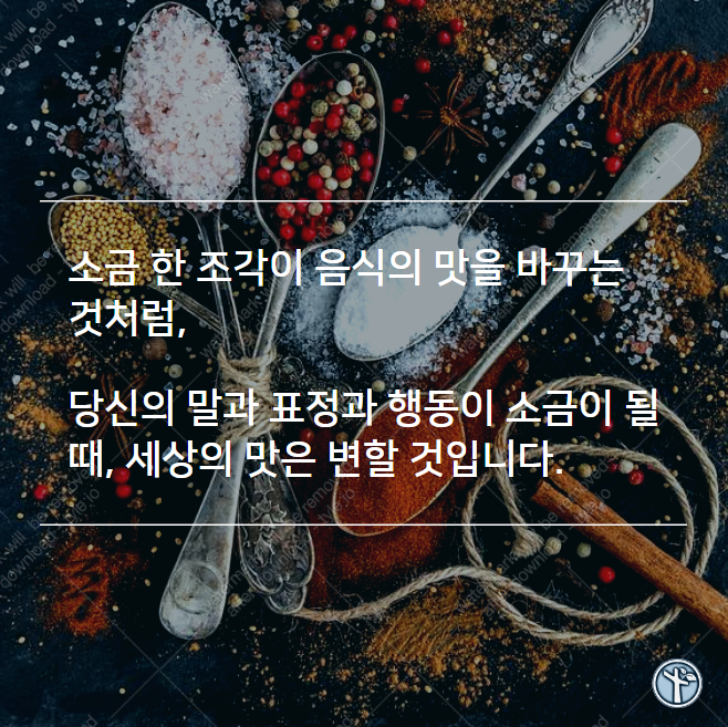 소금과빛 이미지