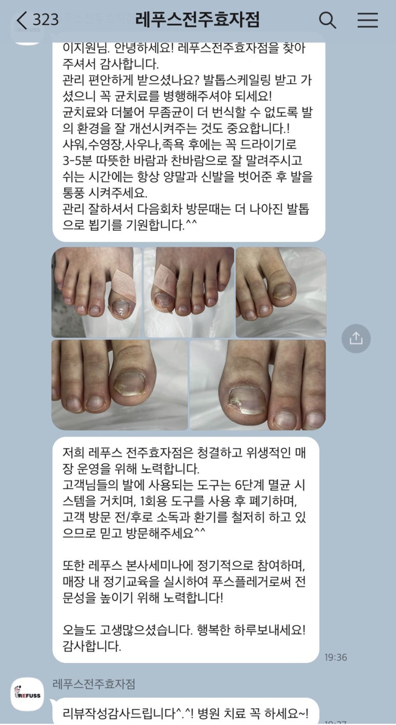 레푸스전주 이미지
