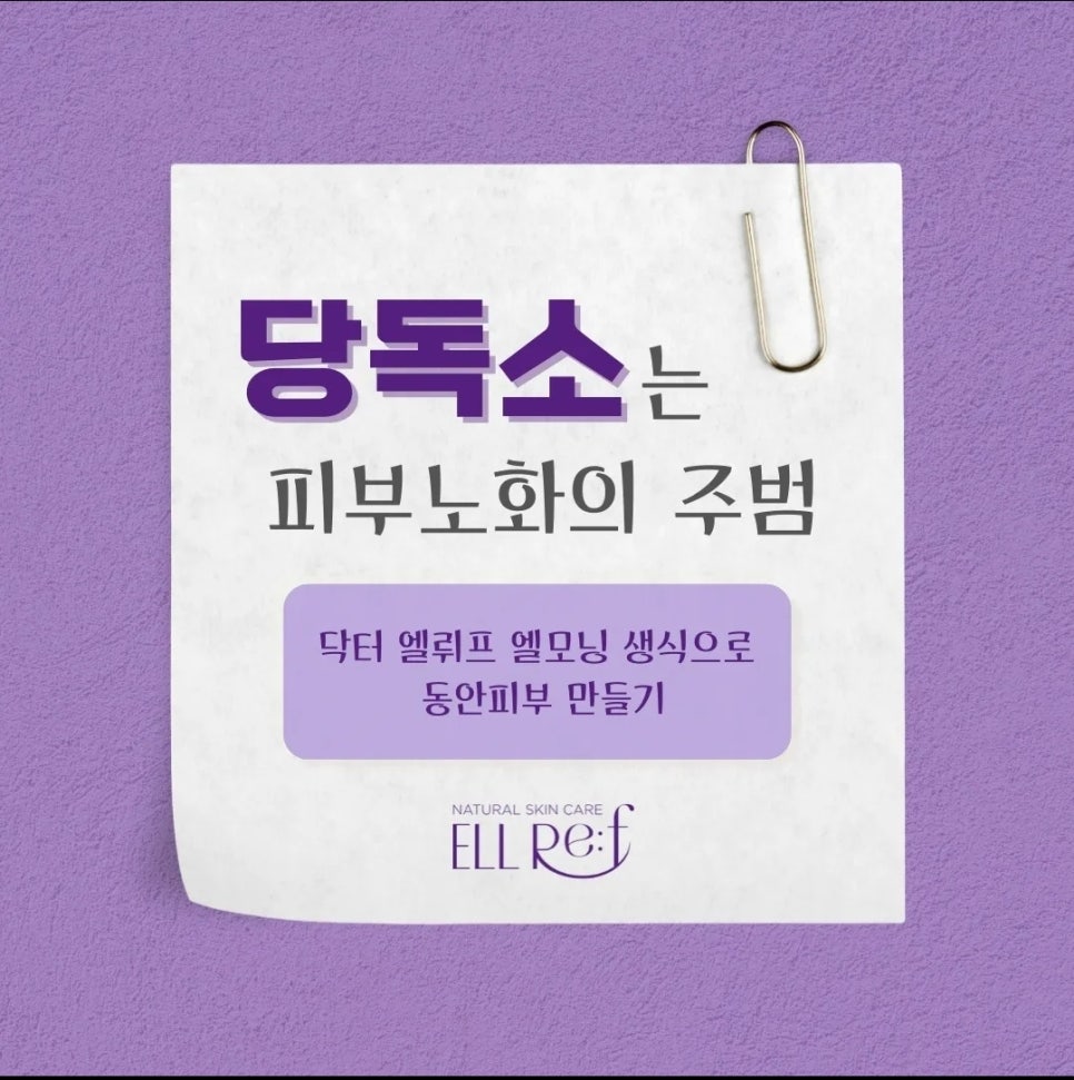 엘뤼프 이미지