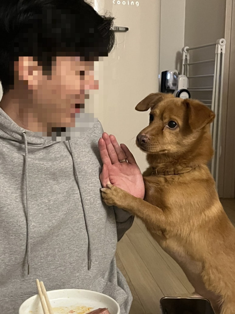 (주)은진투어 이미지