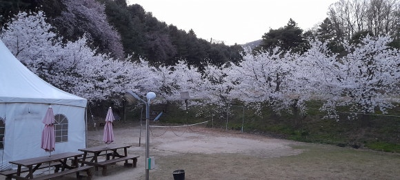 숲속펜션 이미지