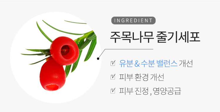 에스엔안 이미지