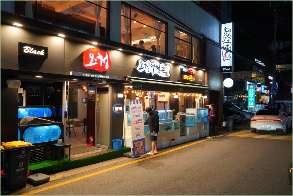 오징어청춘 이미지