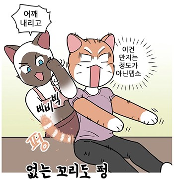 스타칼리 이미지