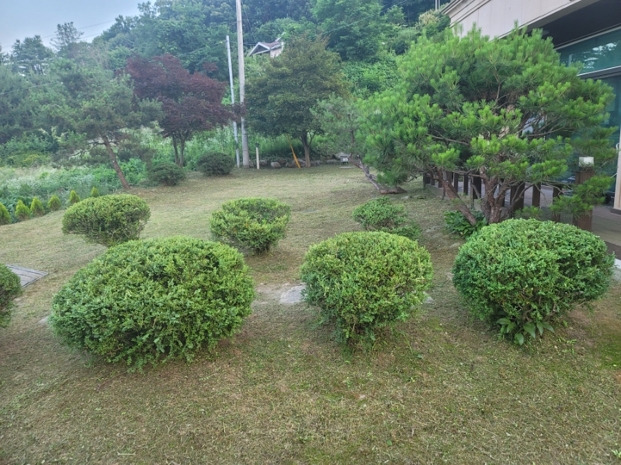 노가장팀웍조경 이미지