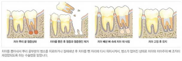 와이치과의원 이미지