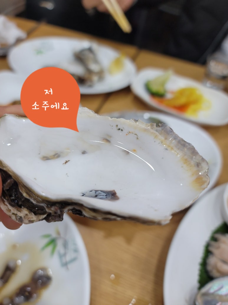 다올레 이미지